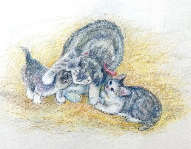 Alice Illustrations artwork 17