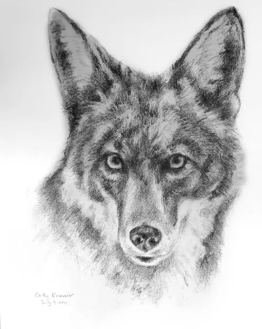 Animals artwork 38