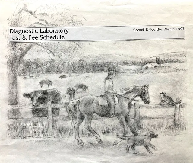 Diagnostic Laboratory artwork 9