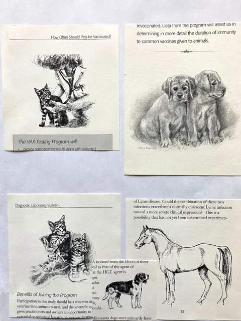 Diagnostic Laboratory artwork 10