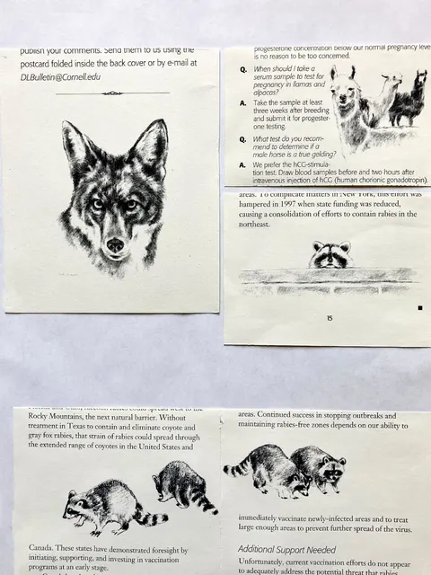 Diagnostic Laboratory artwork 12