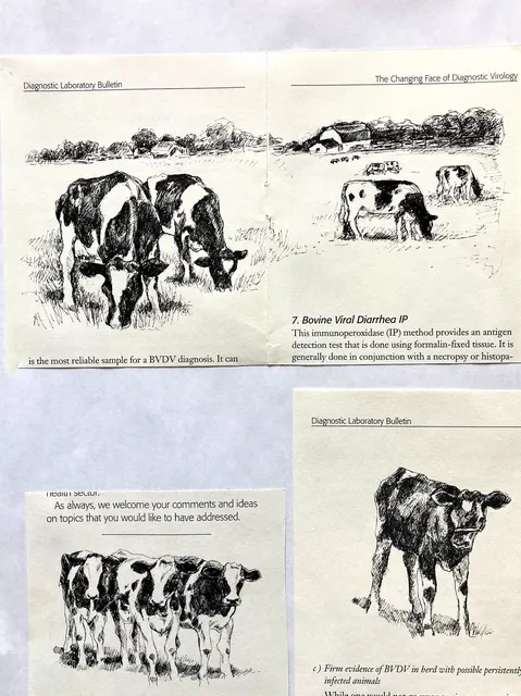 Diagnostic Laboratory artwork 13