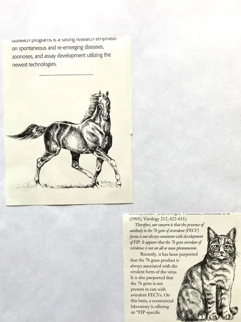 Diagnostic Laboratory artwork 14