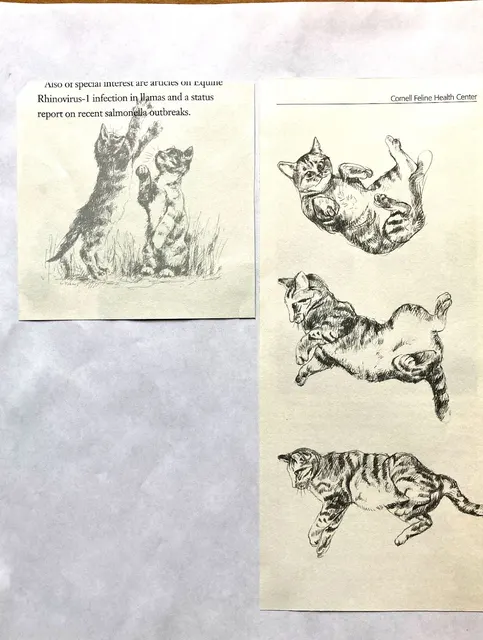 Diagnostic Laboratory artwork 15