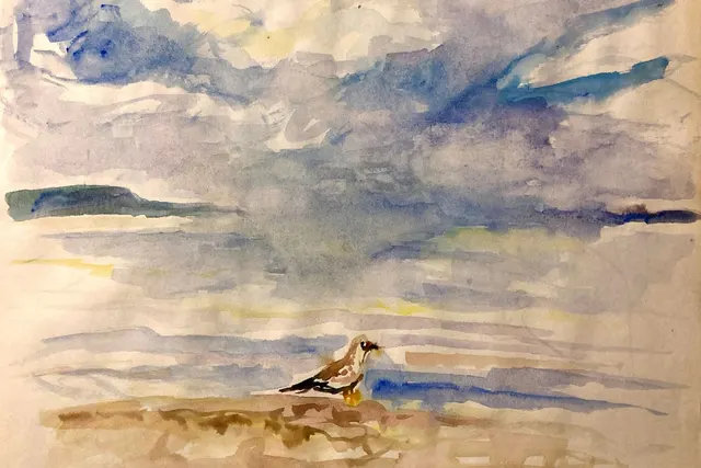 Landscapes artwork 51