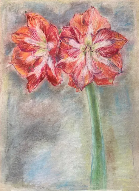 Still Lifes artwork 72